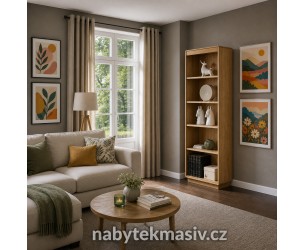 Knihovna z masivu Atlanta 11